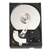Western Digital 320GB 8Mb IDE